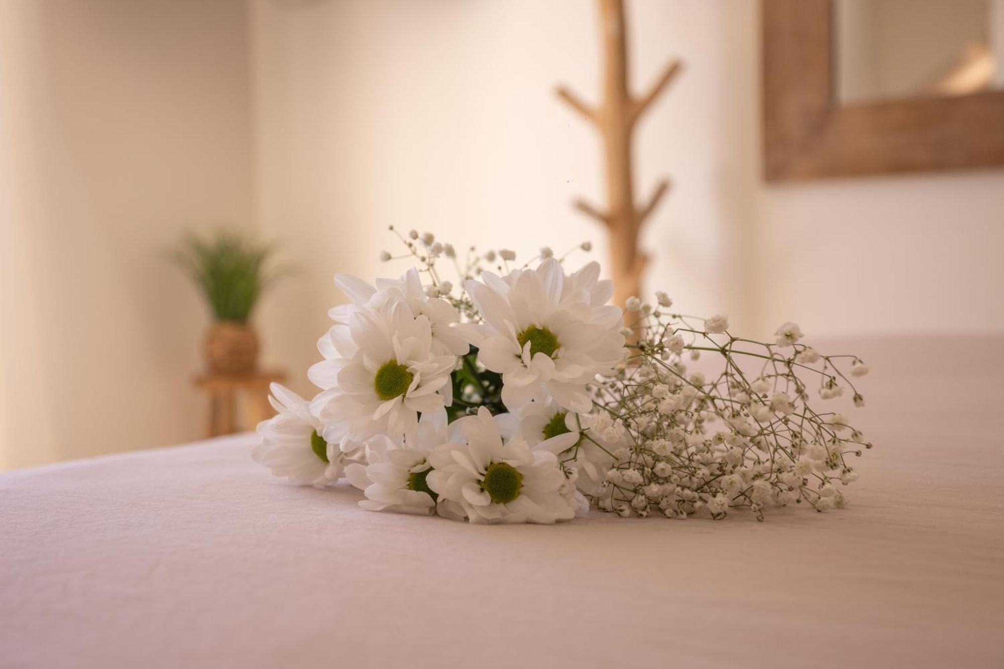 Les Suites Love 3 Spa Vue Mer Piscine 马赛 外观 照片